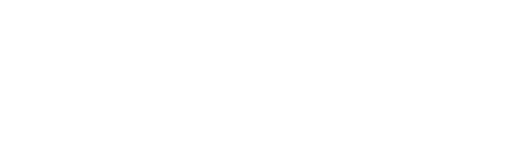 ZMI Holdings Logo